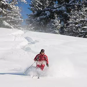 powder skiing saalbach skischool