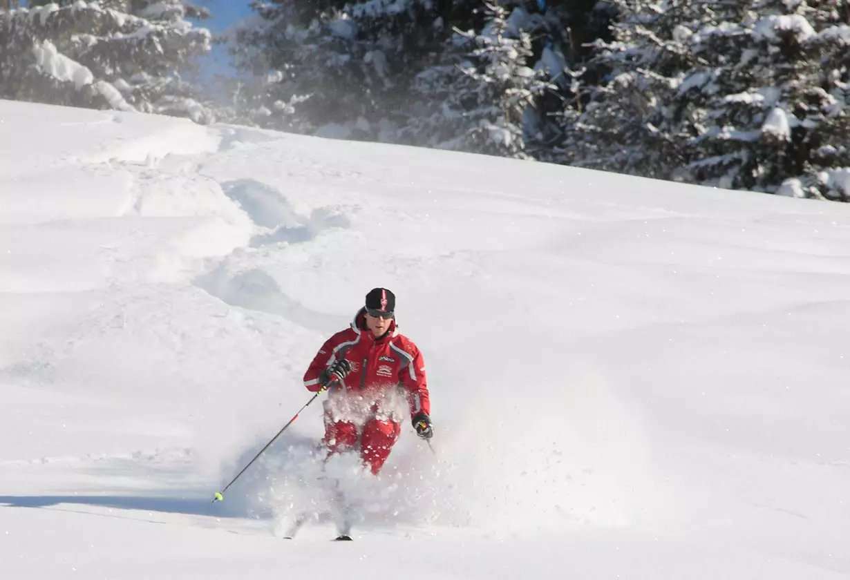 powder skiing saalbach skischool